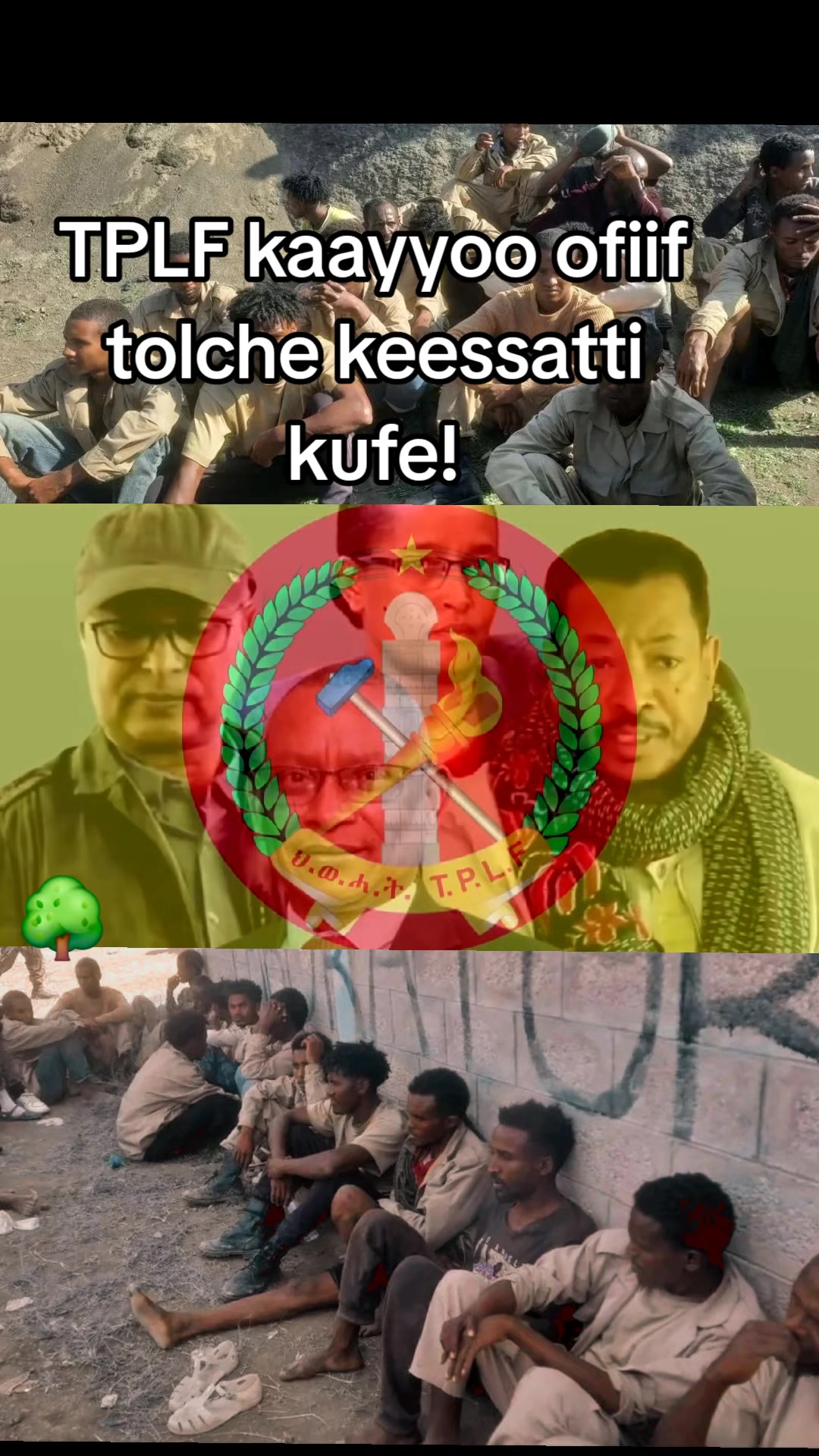 @Shimallis Abdisa Parody