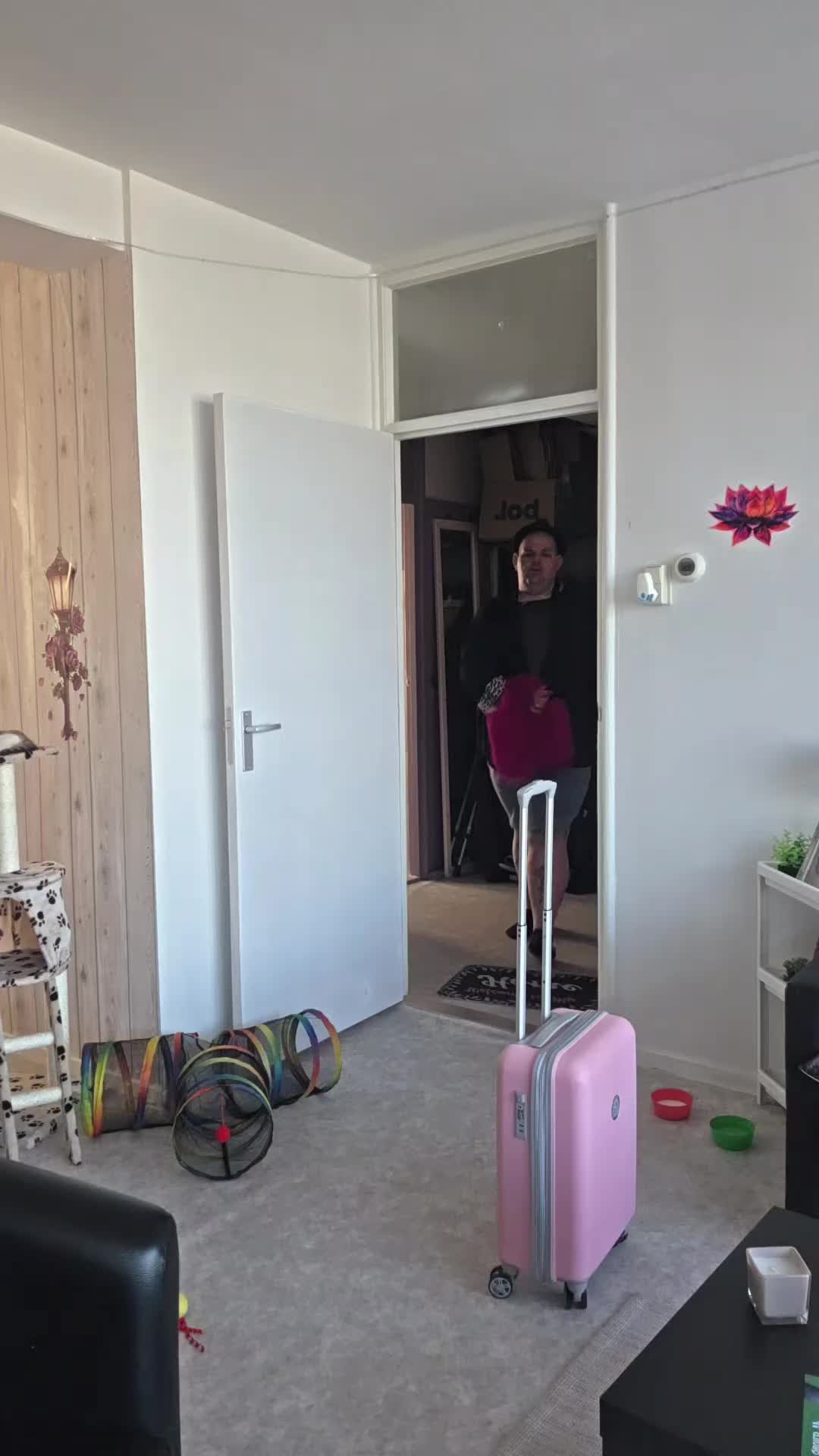 @Melliegezellieofficial