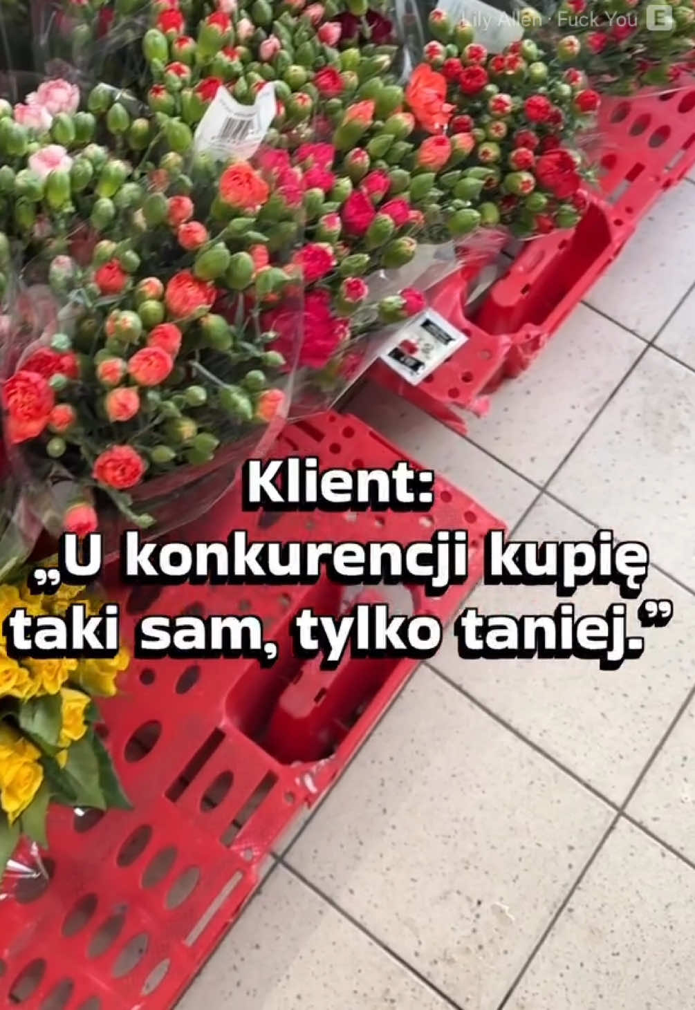 @Fura Kwiat&oacute;w