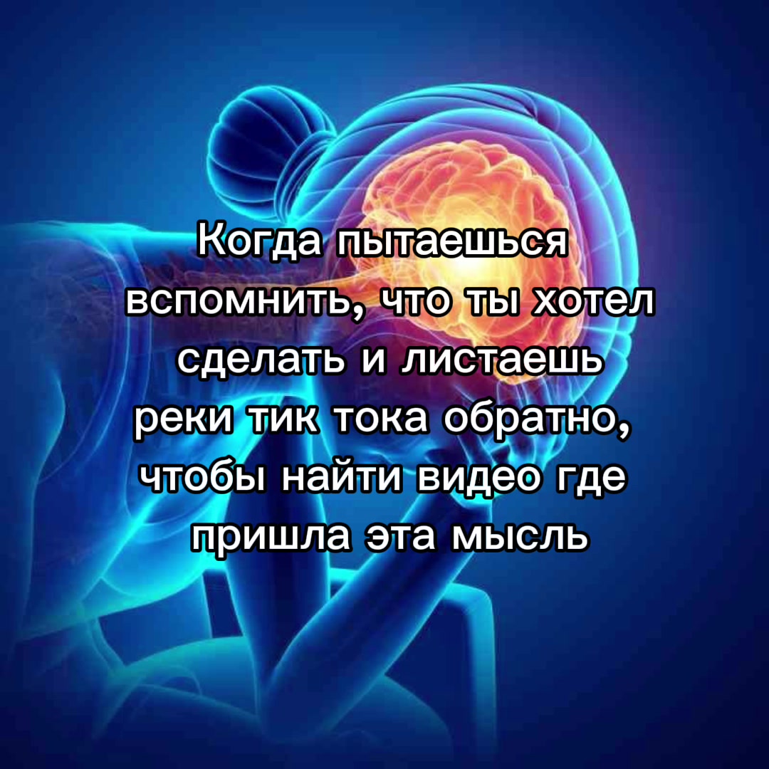 @🎀CARIN_QUEEN🎀