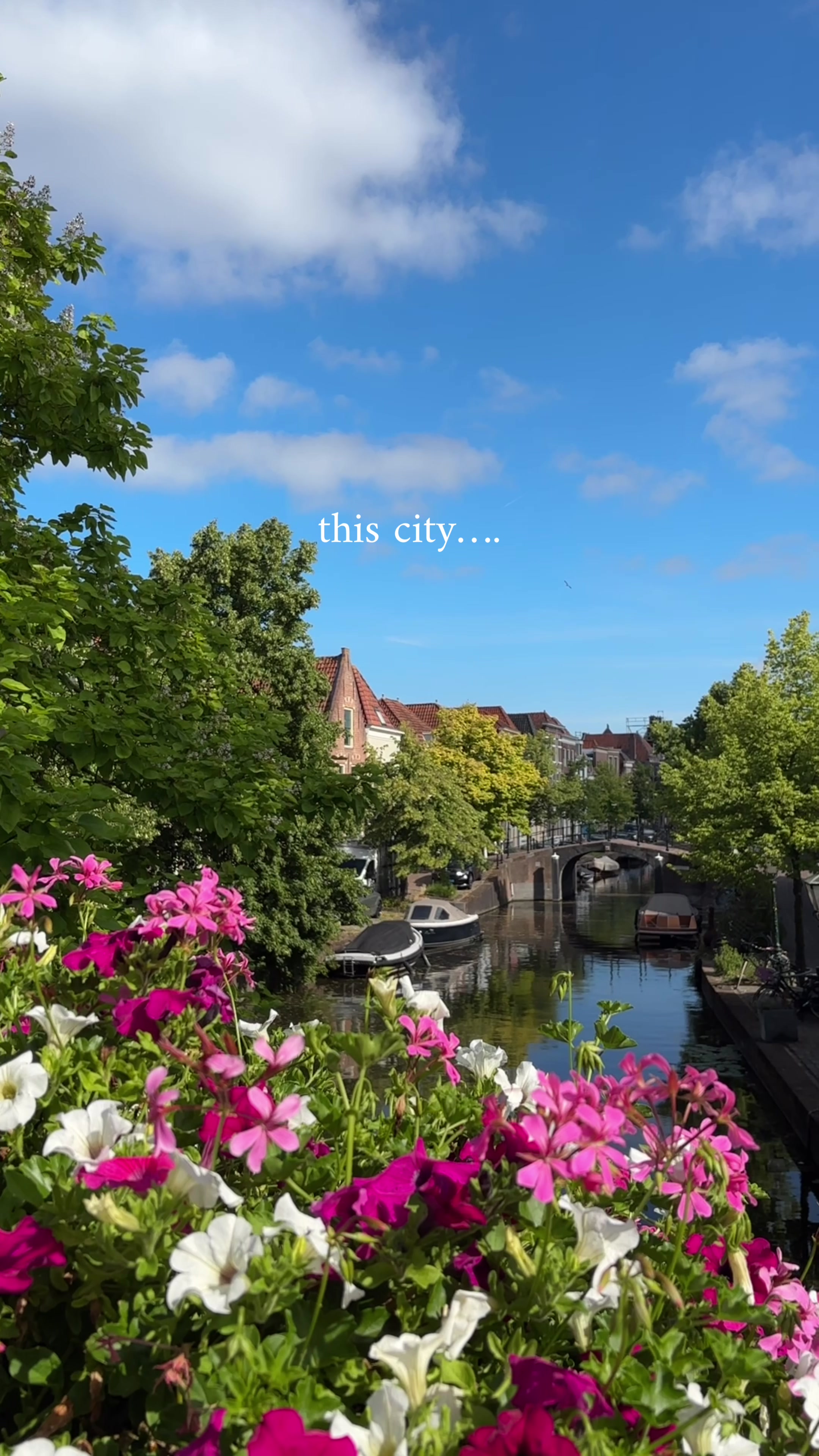 @Jens in Amsterdam