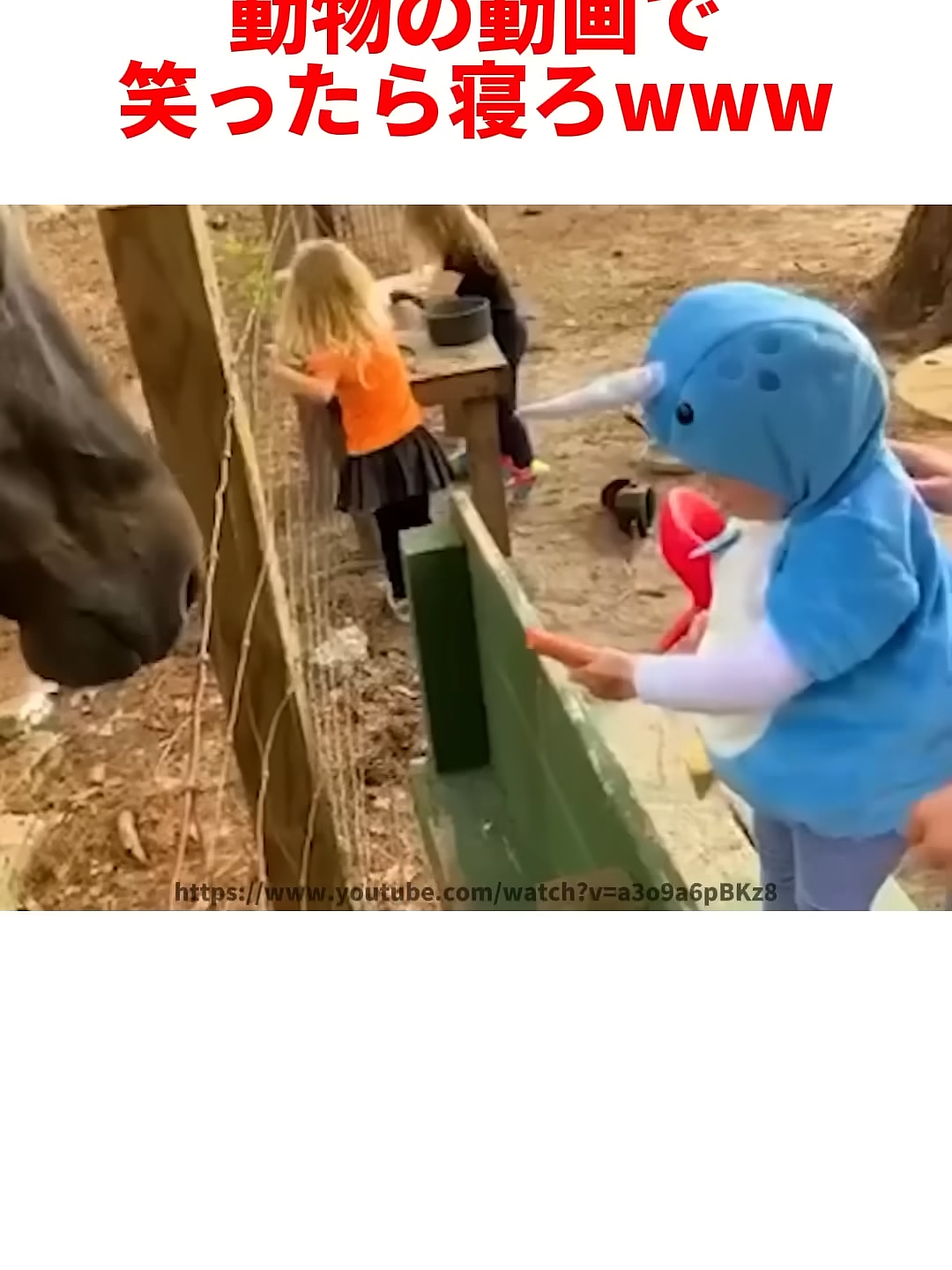 @user1040381569363