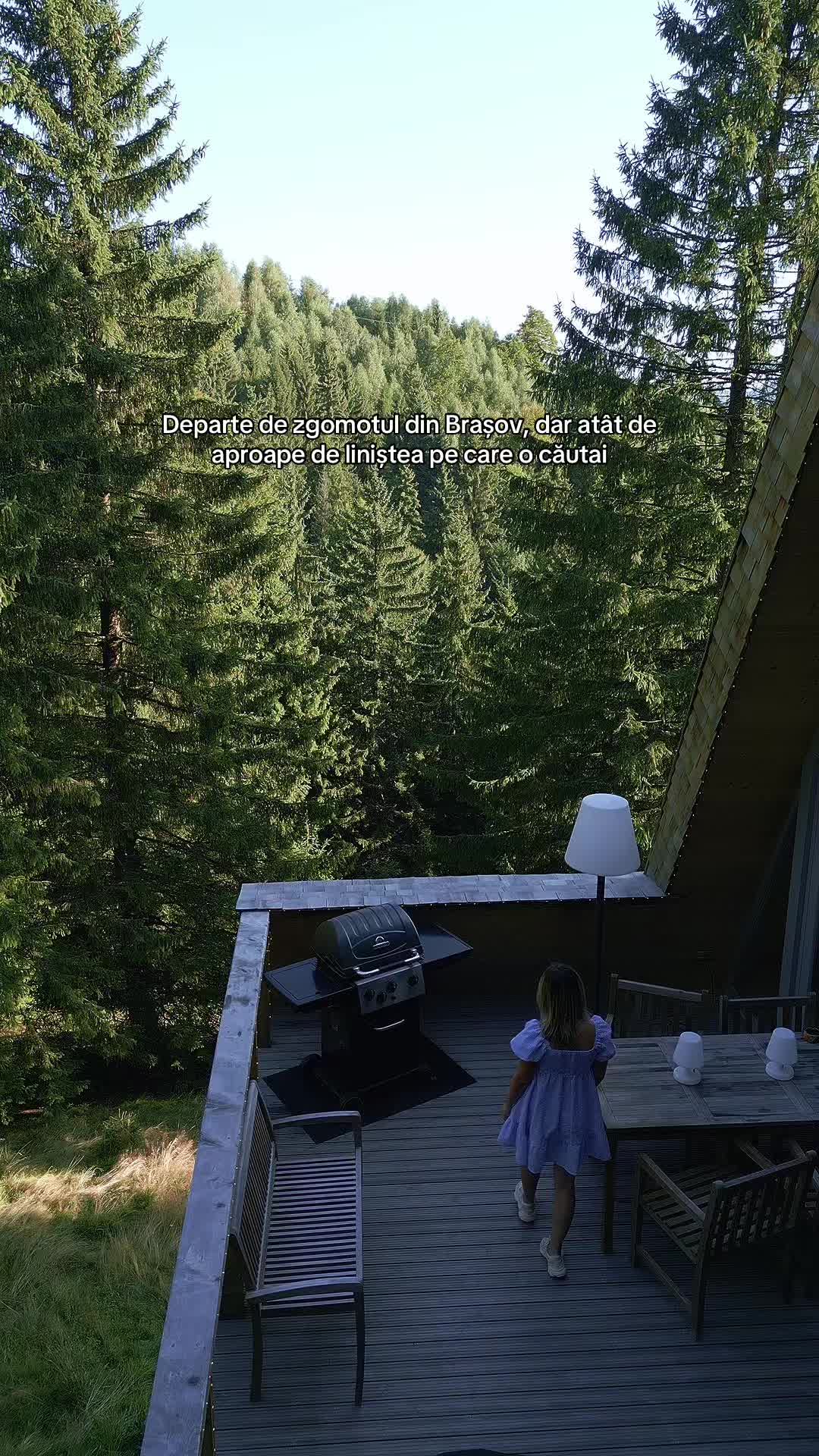 @Strajerii Verzi