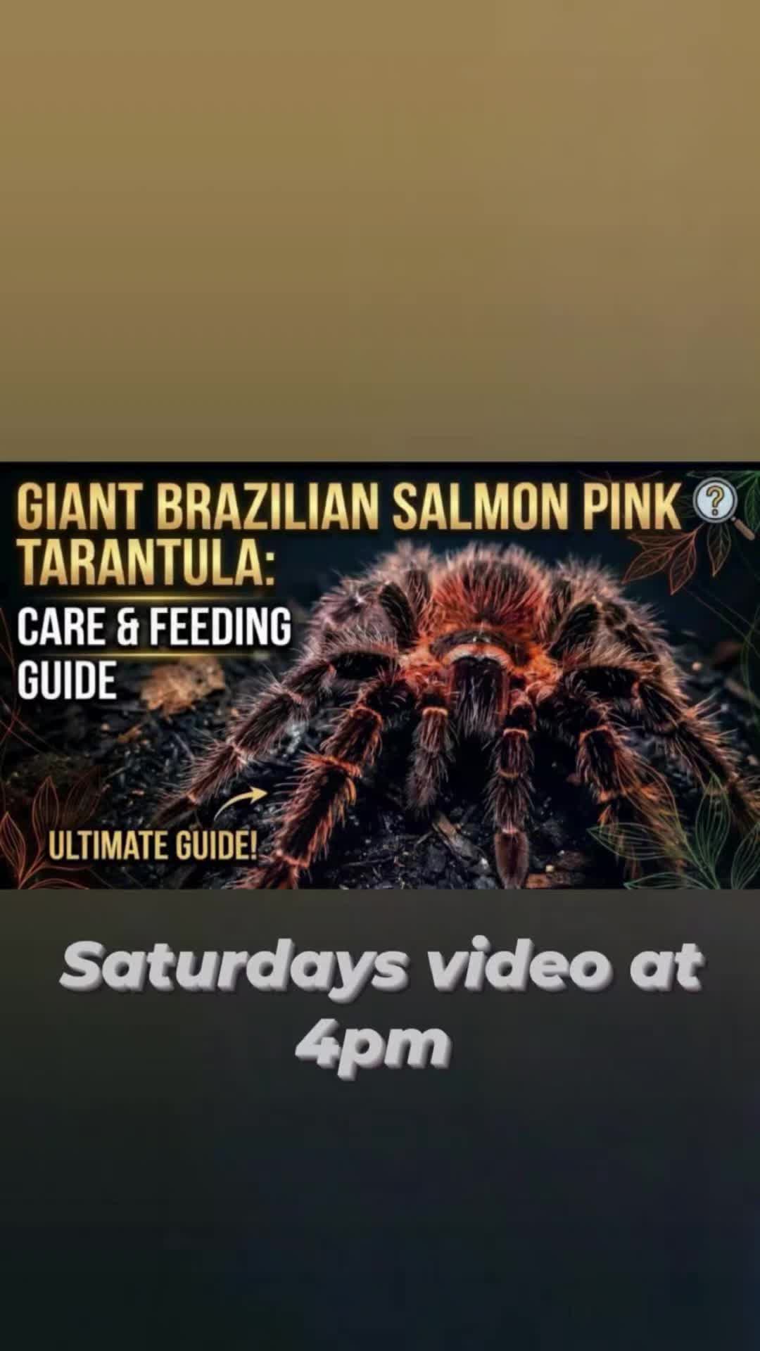 @craigscritterworld1