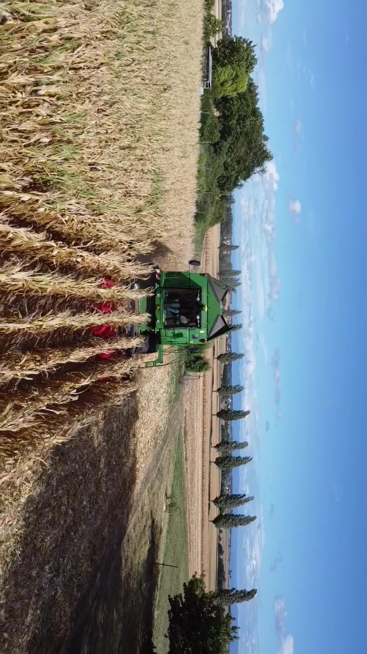@Agrifun67🥨😜