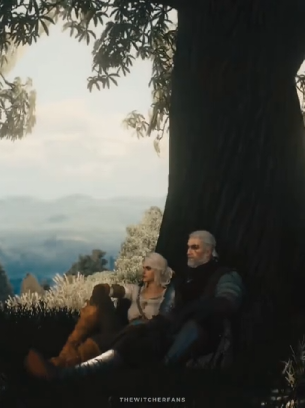 @The Witcher