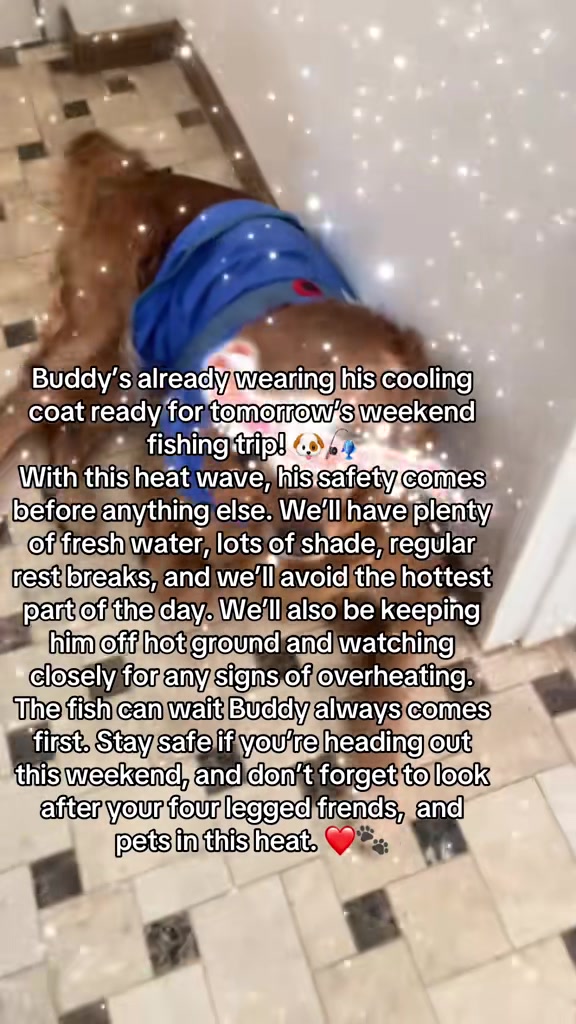 @Happy buddy