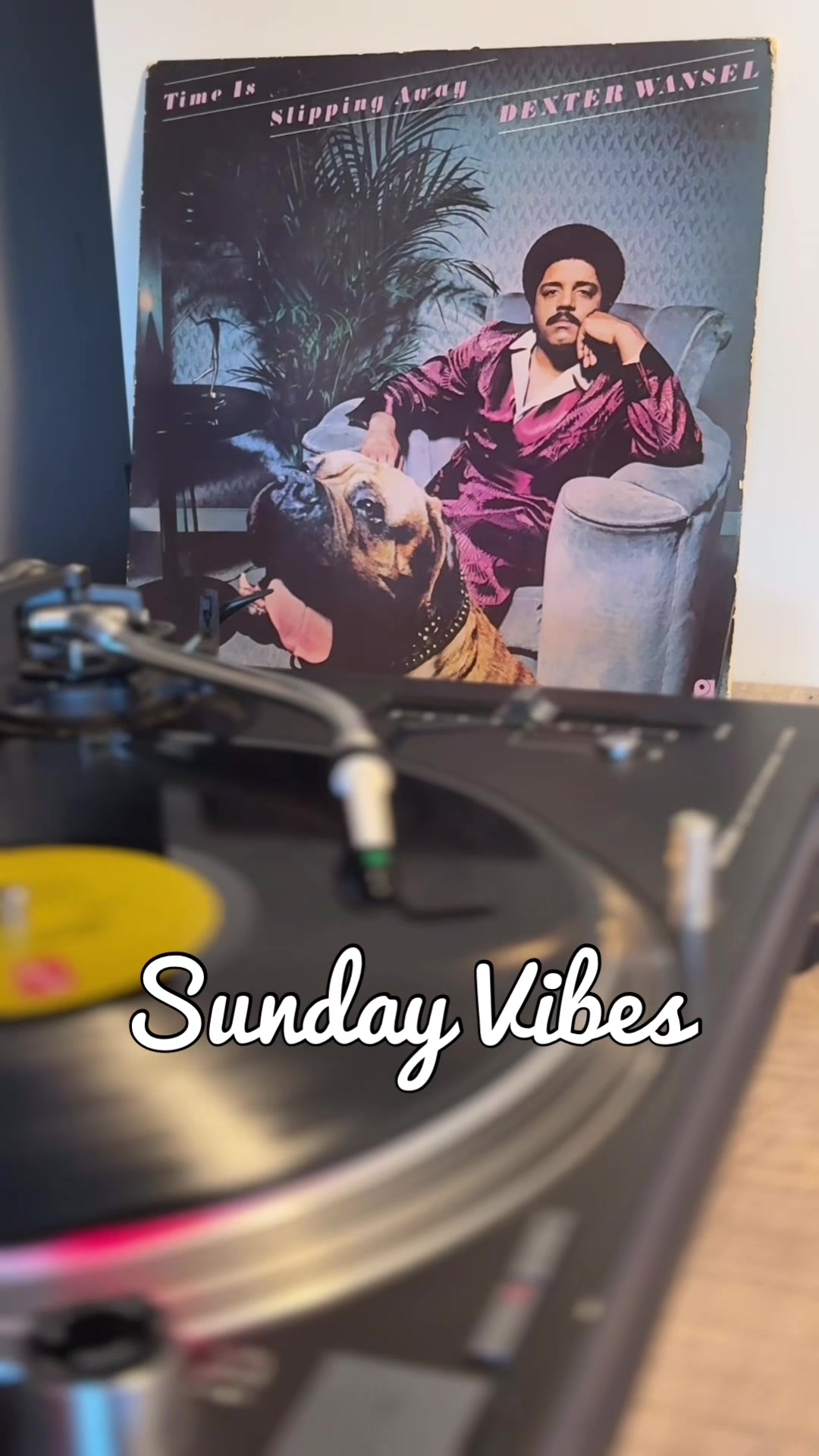 @Backroombeats