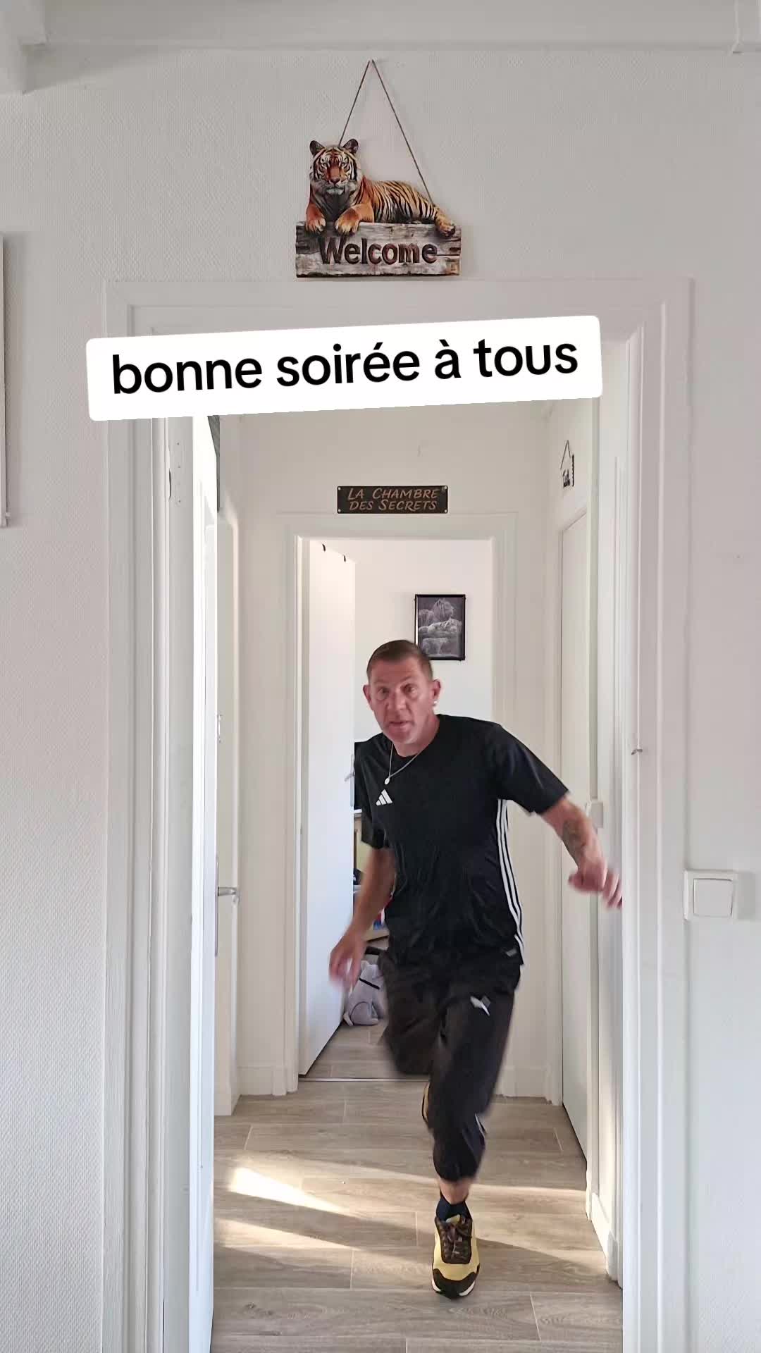 @Le ph&eacute;nix