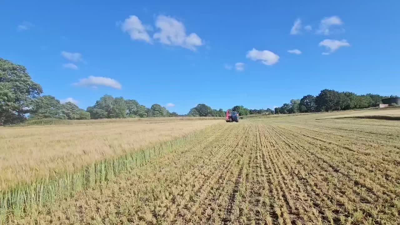 @Barton_wool
