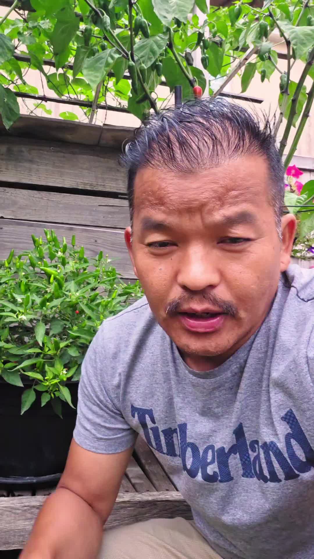 @NG Dai
