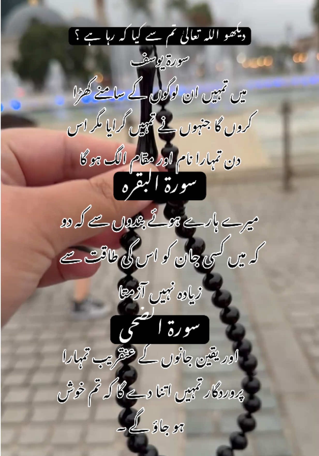 @Noor