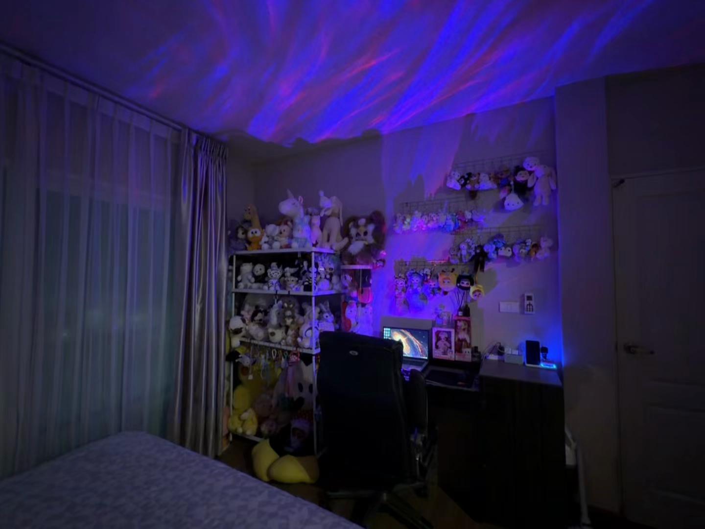 @palpal1310