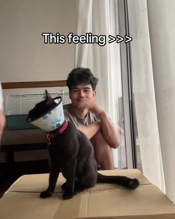 @Nick the Fox