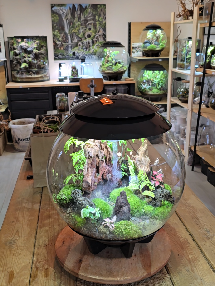 @Green Atmosphere Créations 🌿