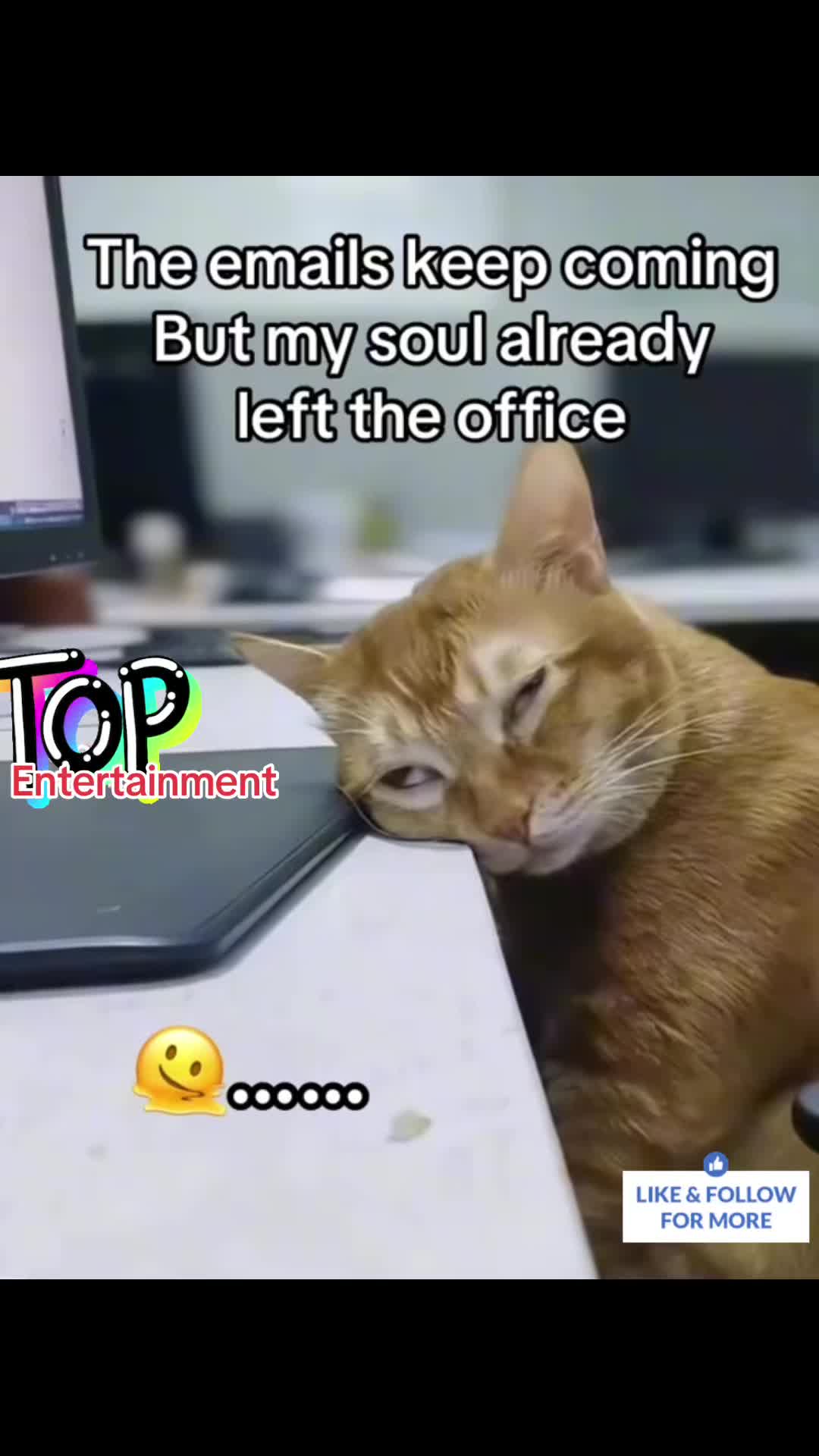 @topentertainment