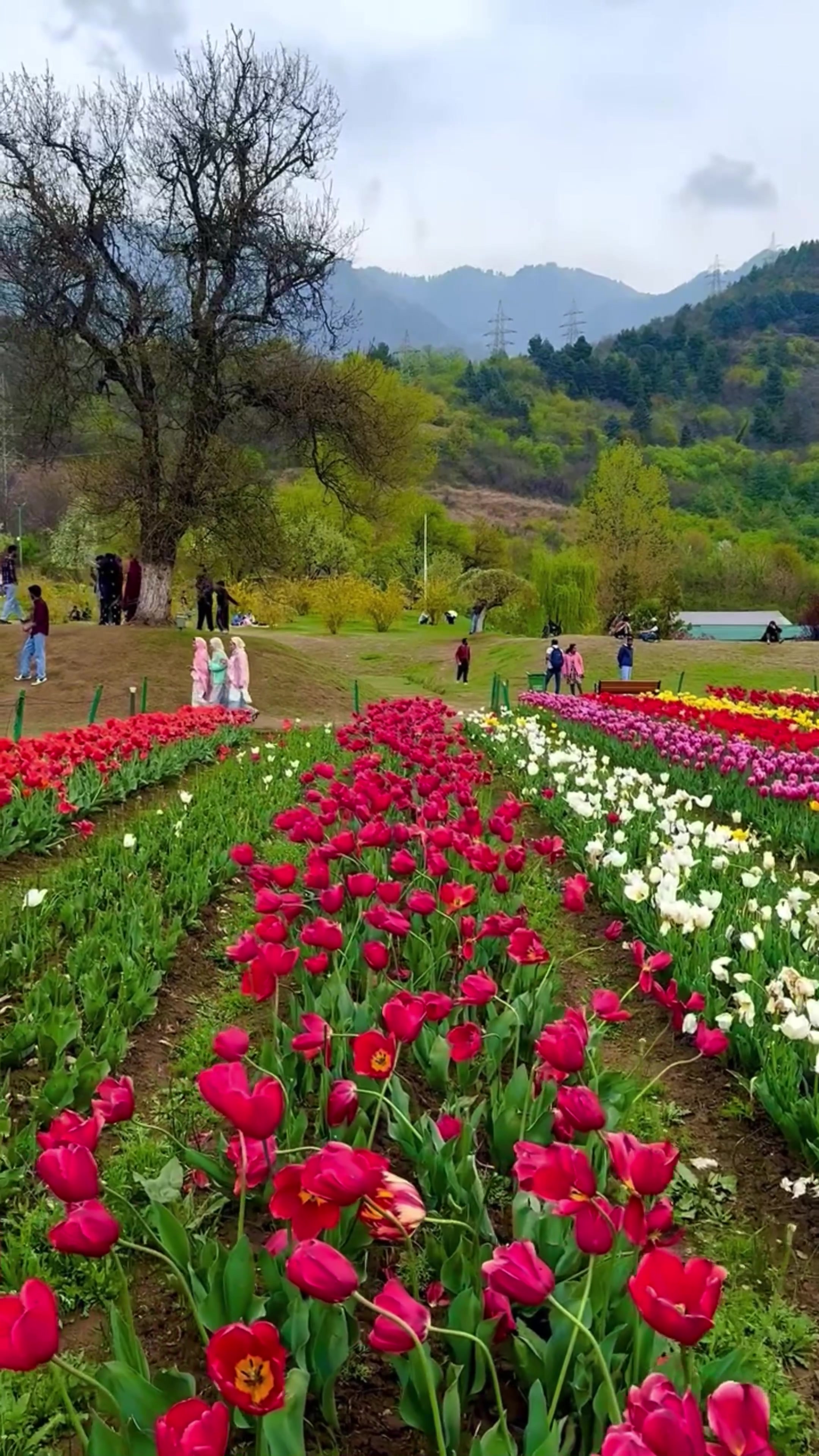 @World 🌍 beauty