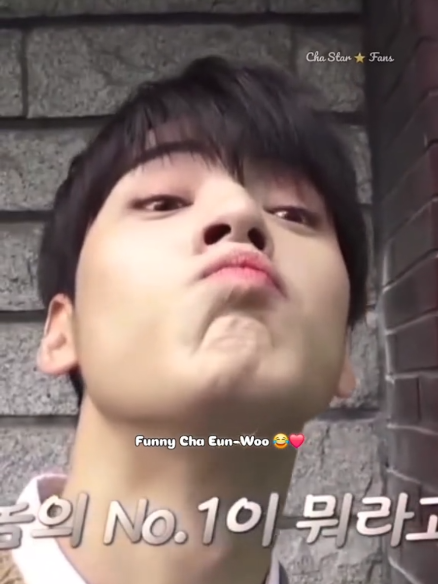 @ChaStar⭐️Fans