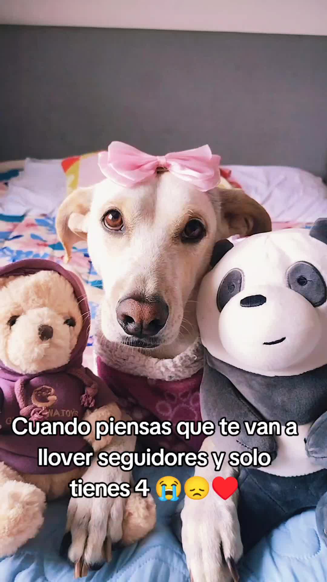@winnie ❤🦮