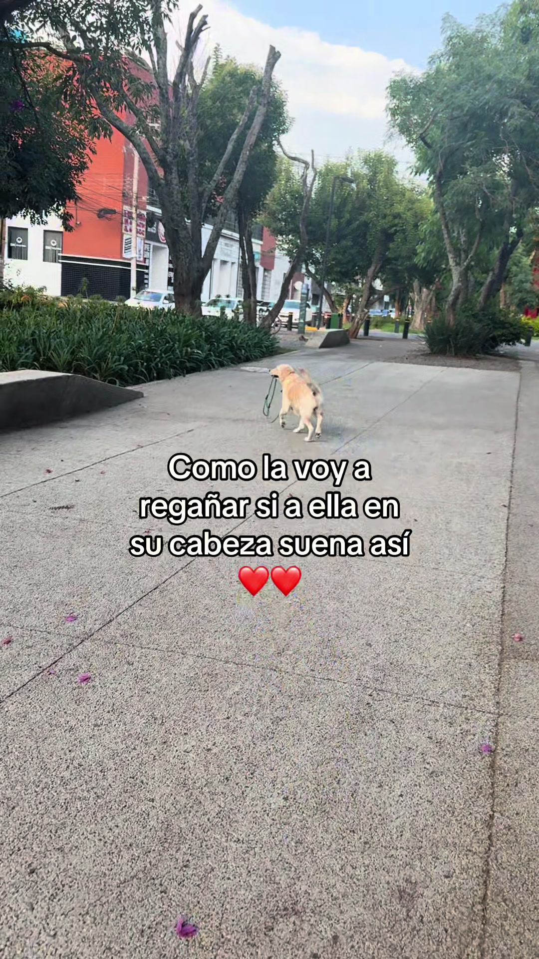 @Daly Bejar