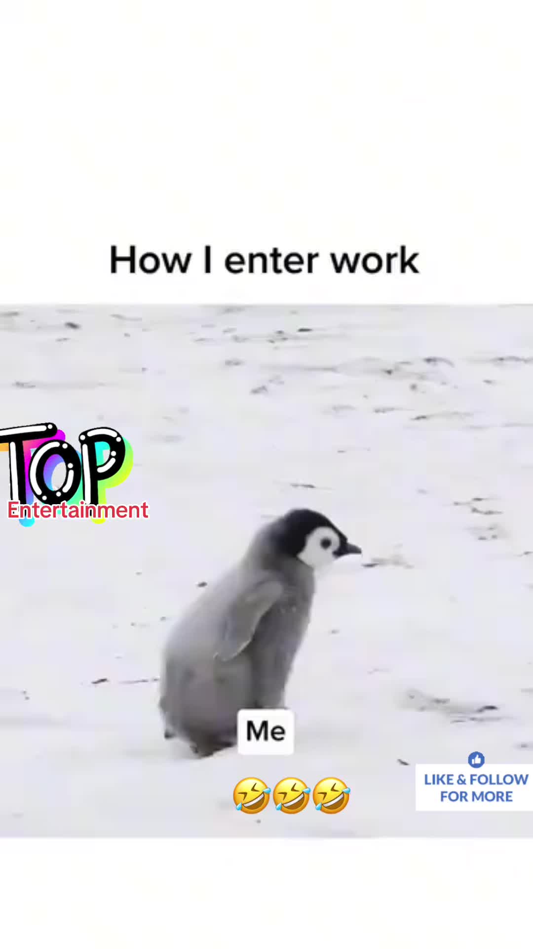 @topentertainment