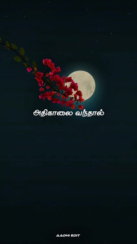 @AADHISHAN