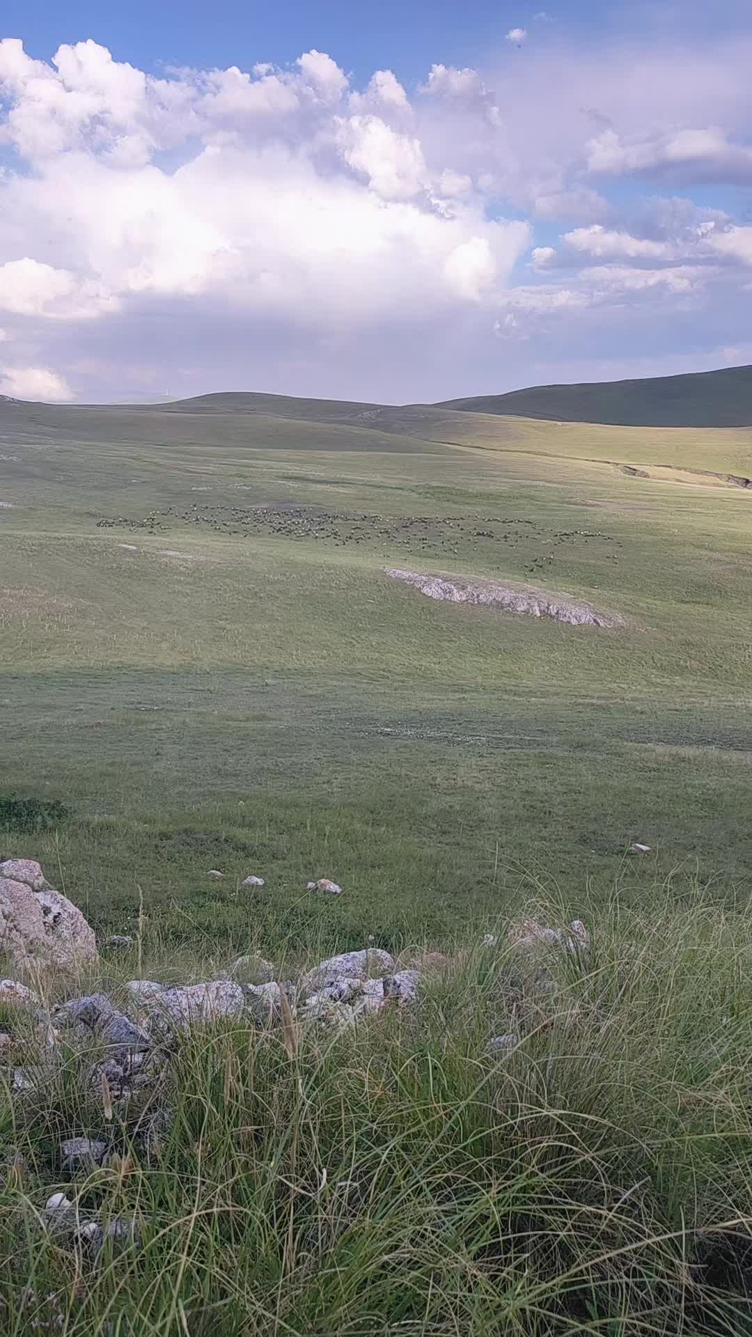 @Suren Kalasyan