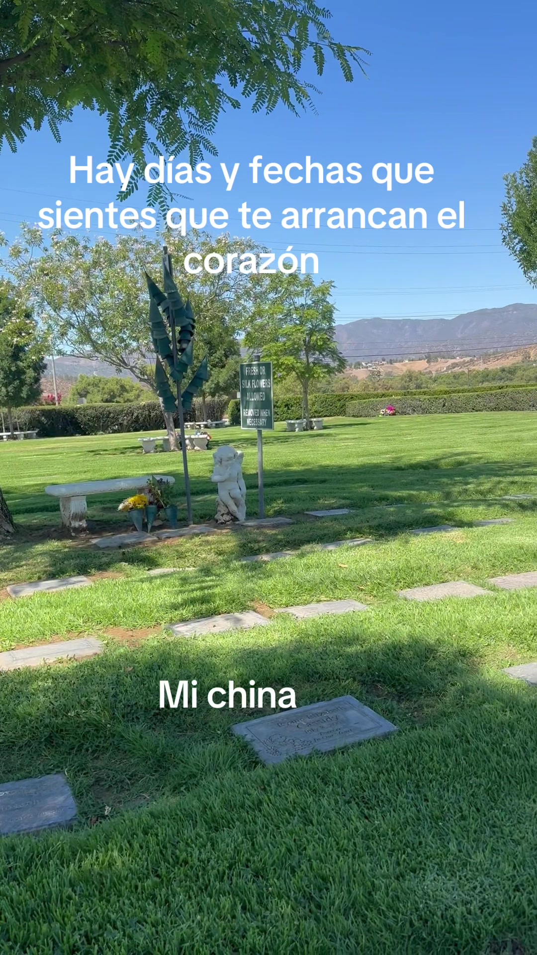 @Alejandro Miranda