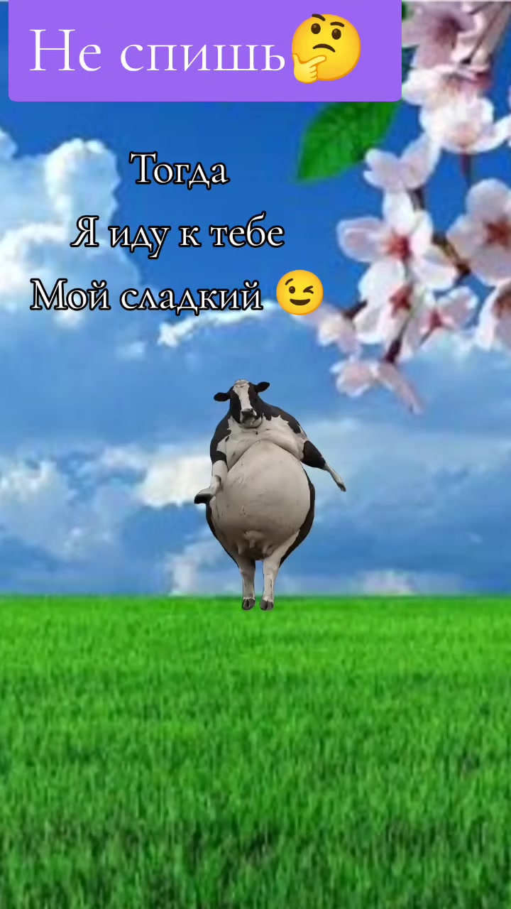 @💔Лилия💔🥀