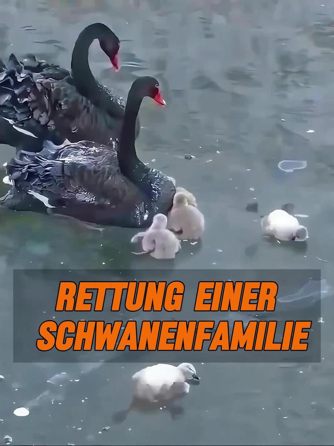 @Geo Tierwelt