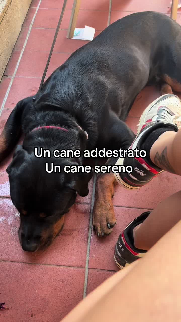 @Le avventure di Thor 🌪️ w ❤️