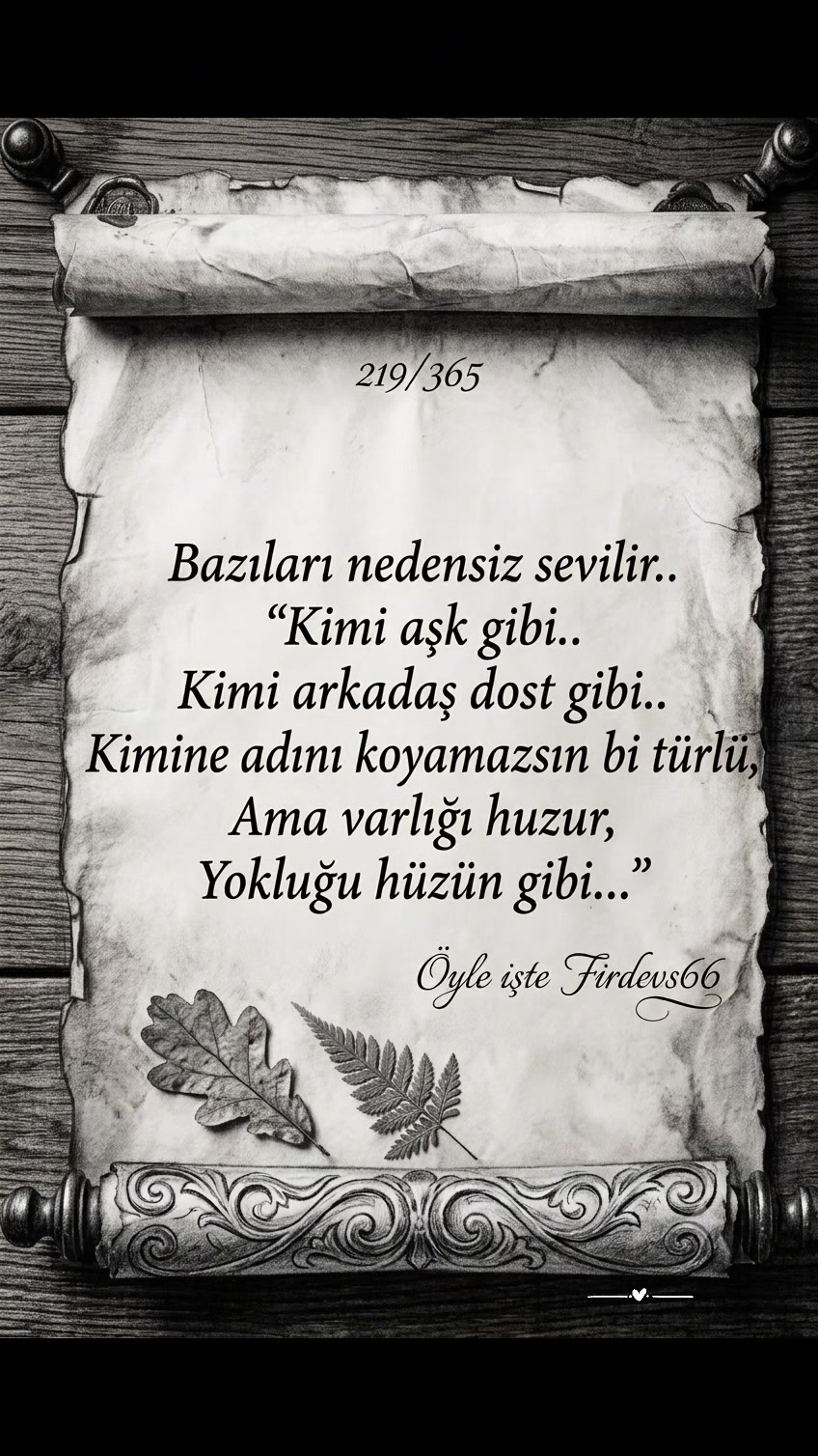 @Firdevs66