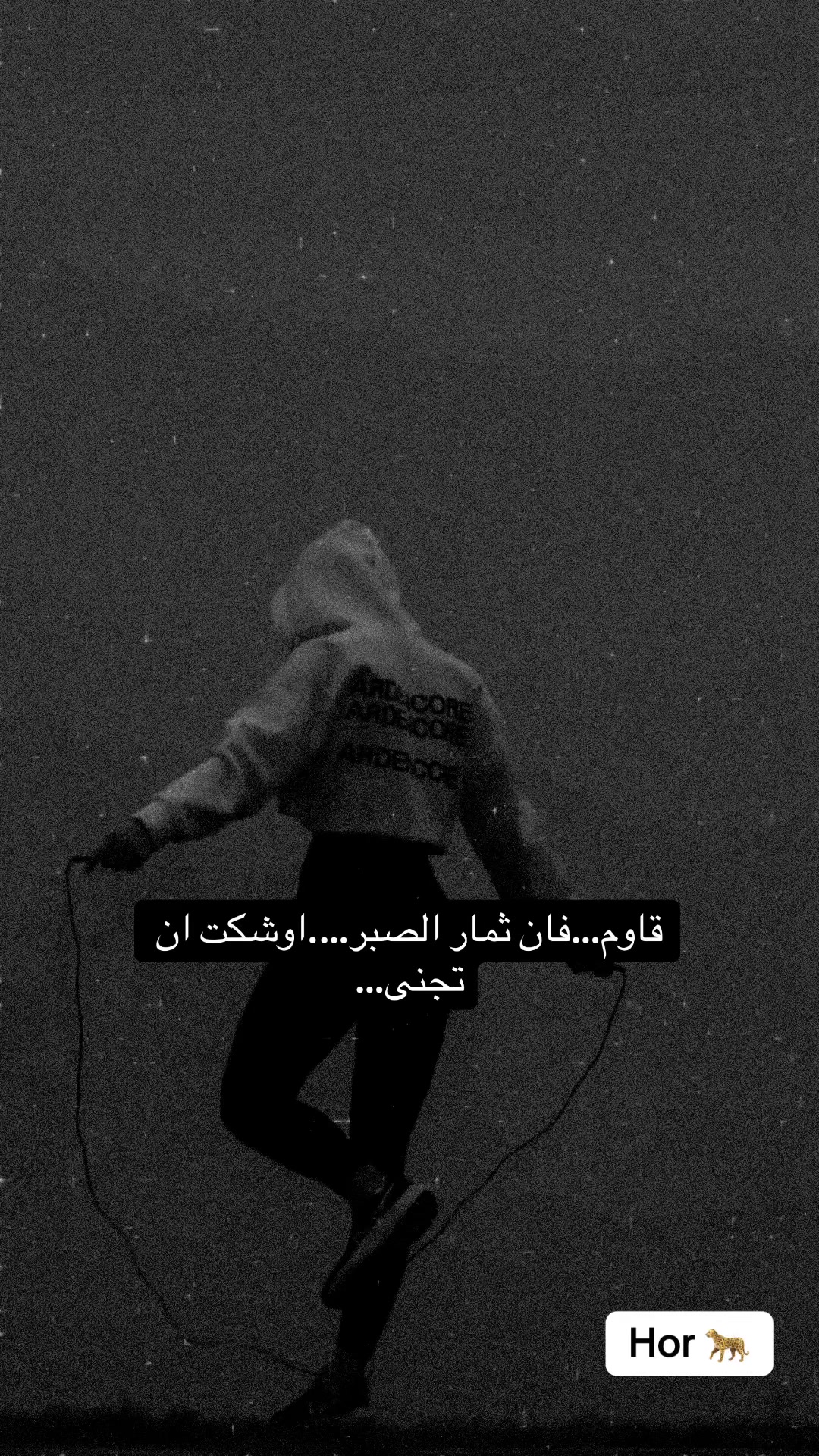@lحور العين 🌺💕
