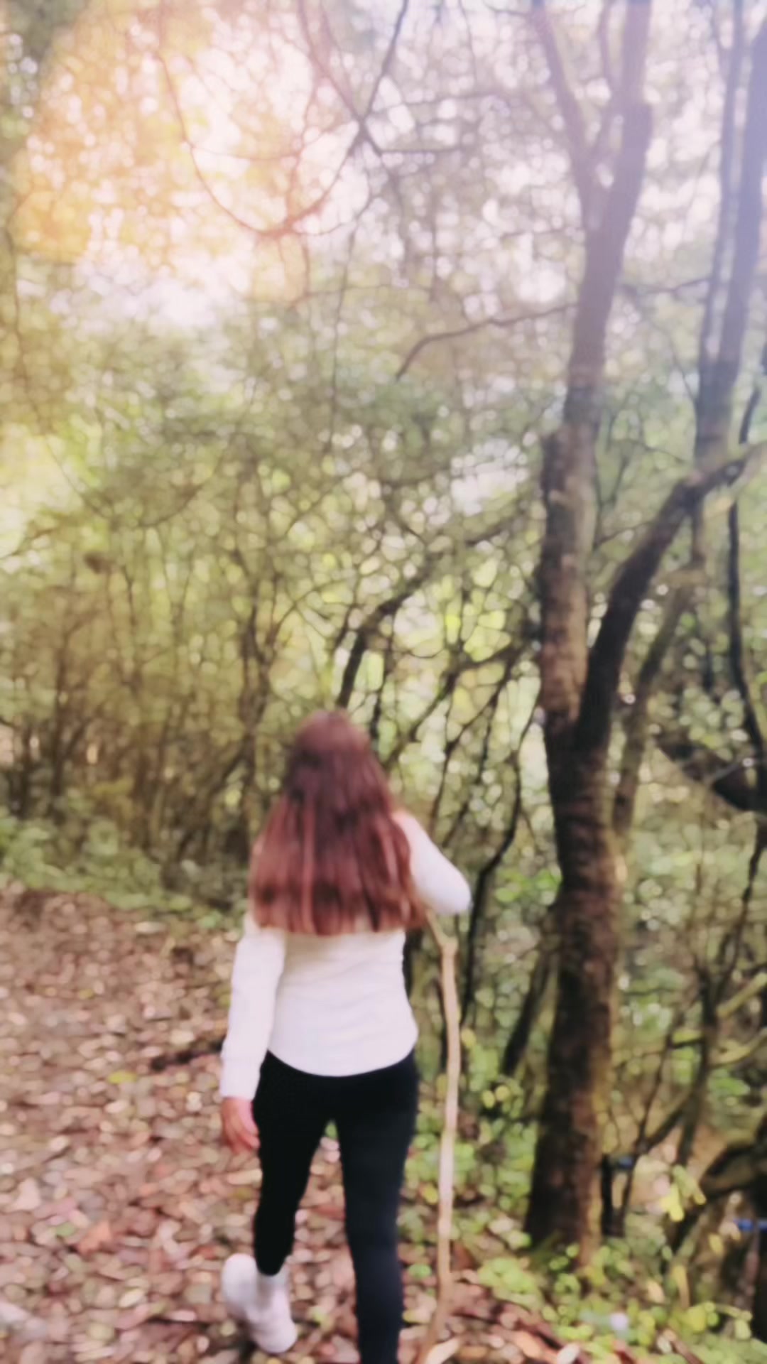 @🍀