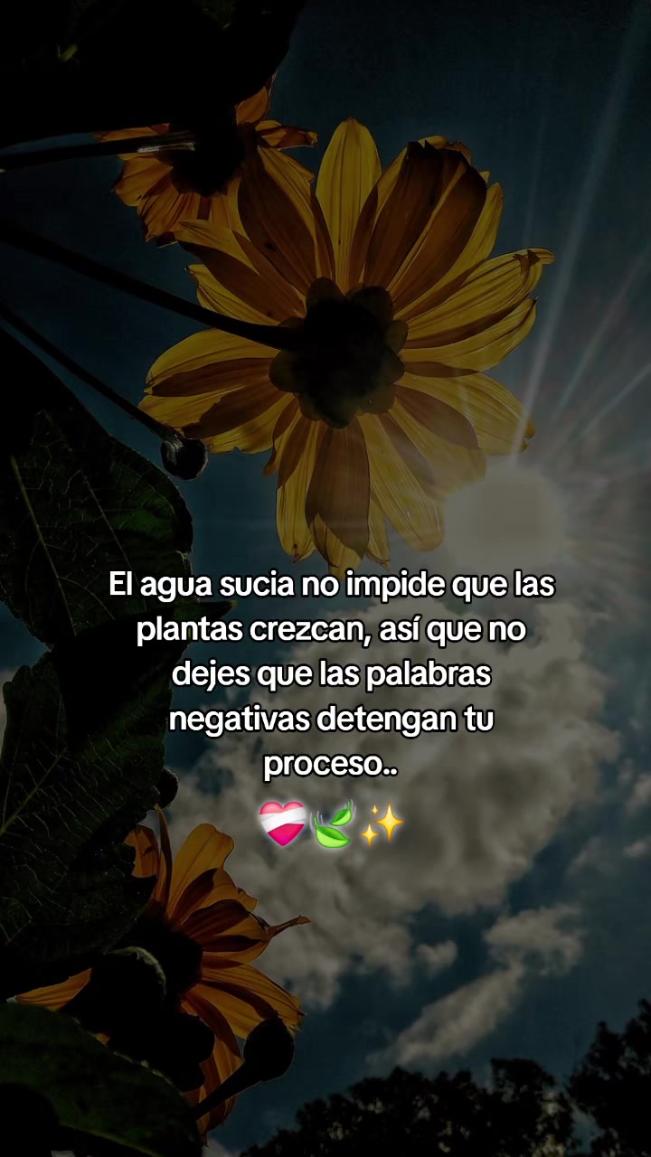 @Lorens prado