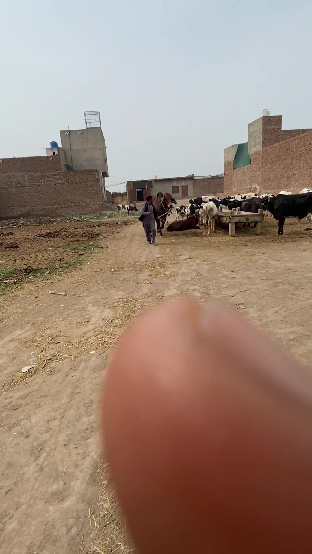 @محترم علی۔کیریو