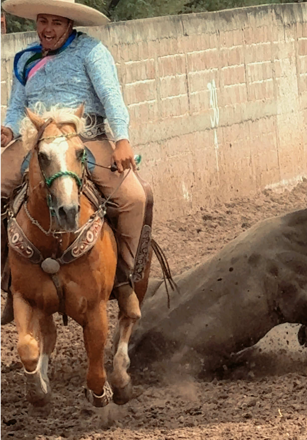 @Nostic Jalisco, México