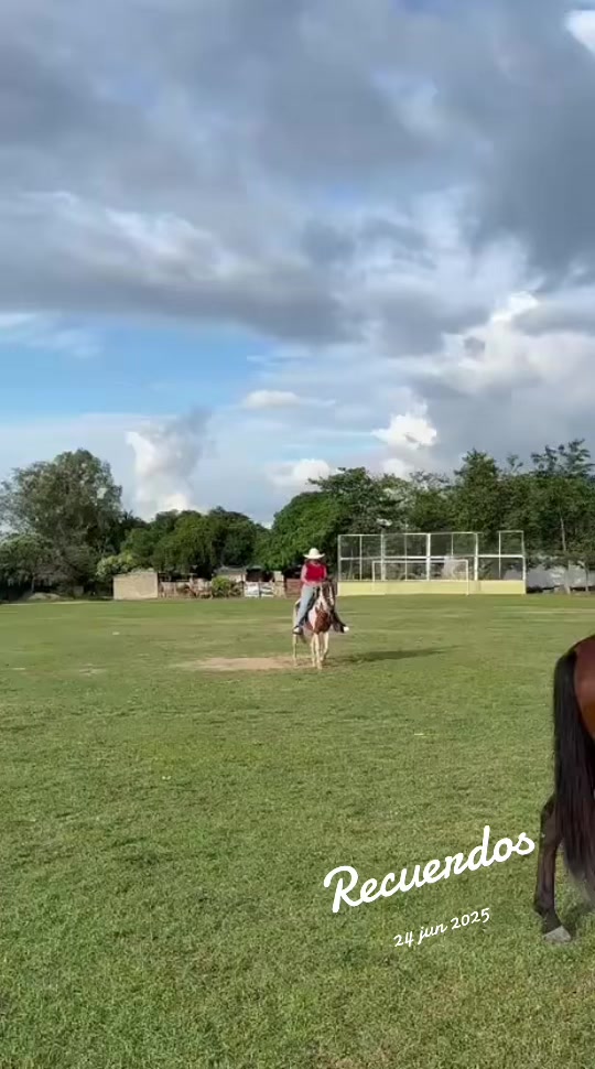 @yuriparada15