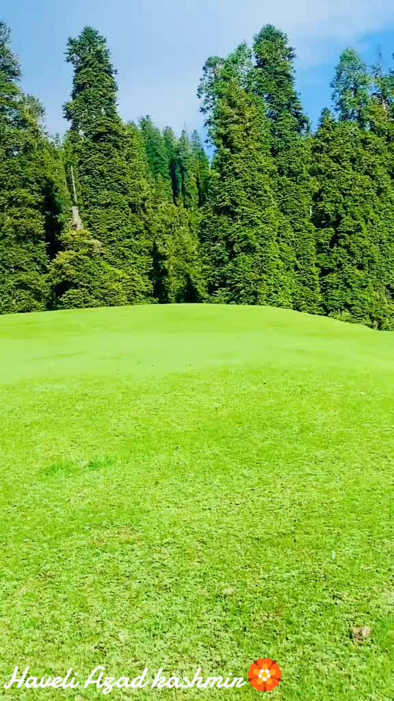 @SAQIB Kasana