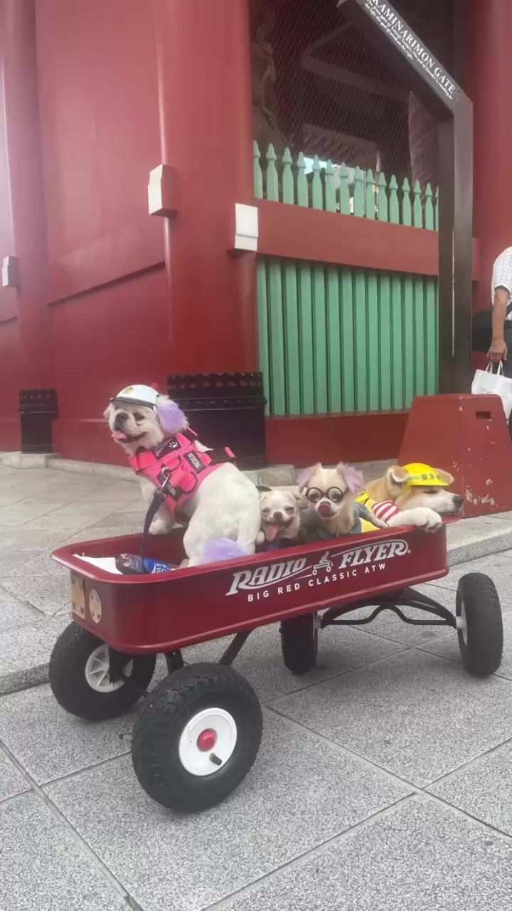 @大将