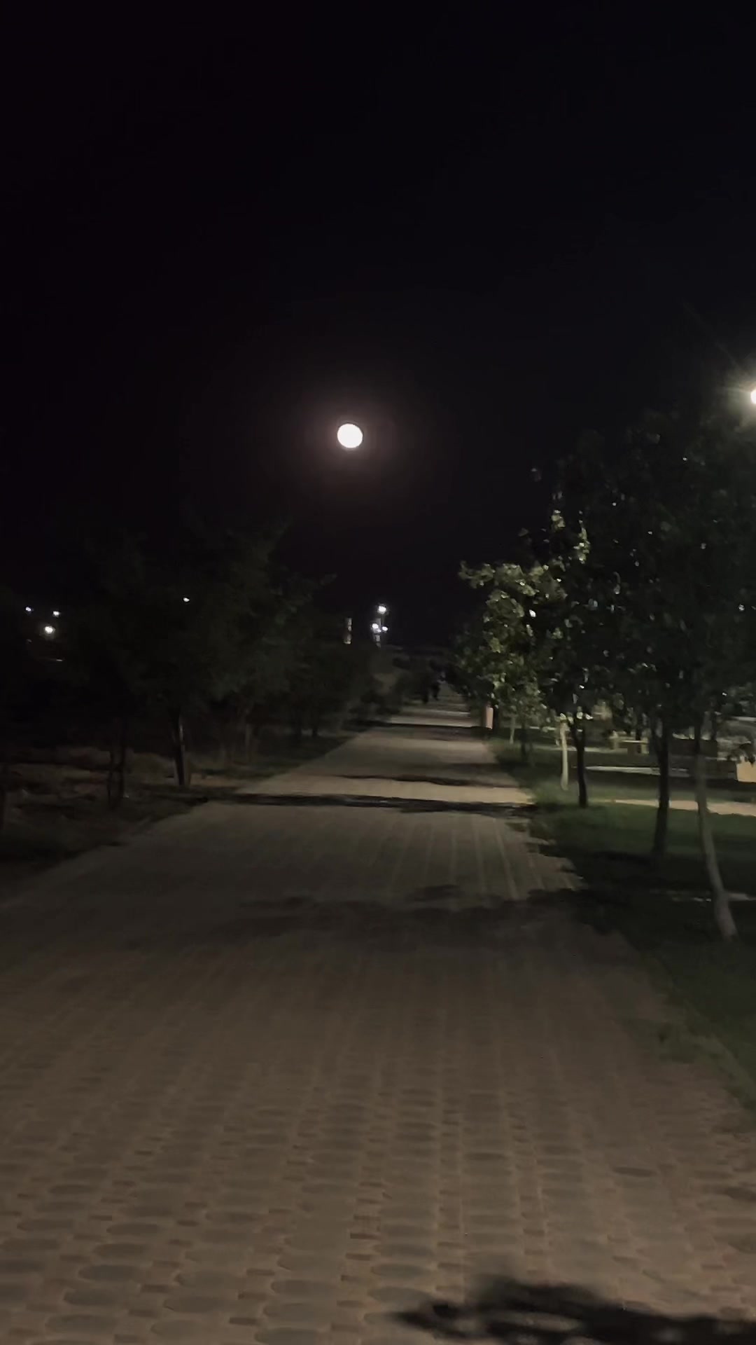 @ألأدميــــرال 𝐌𝐑-𝐗