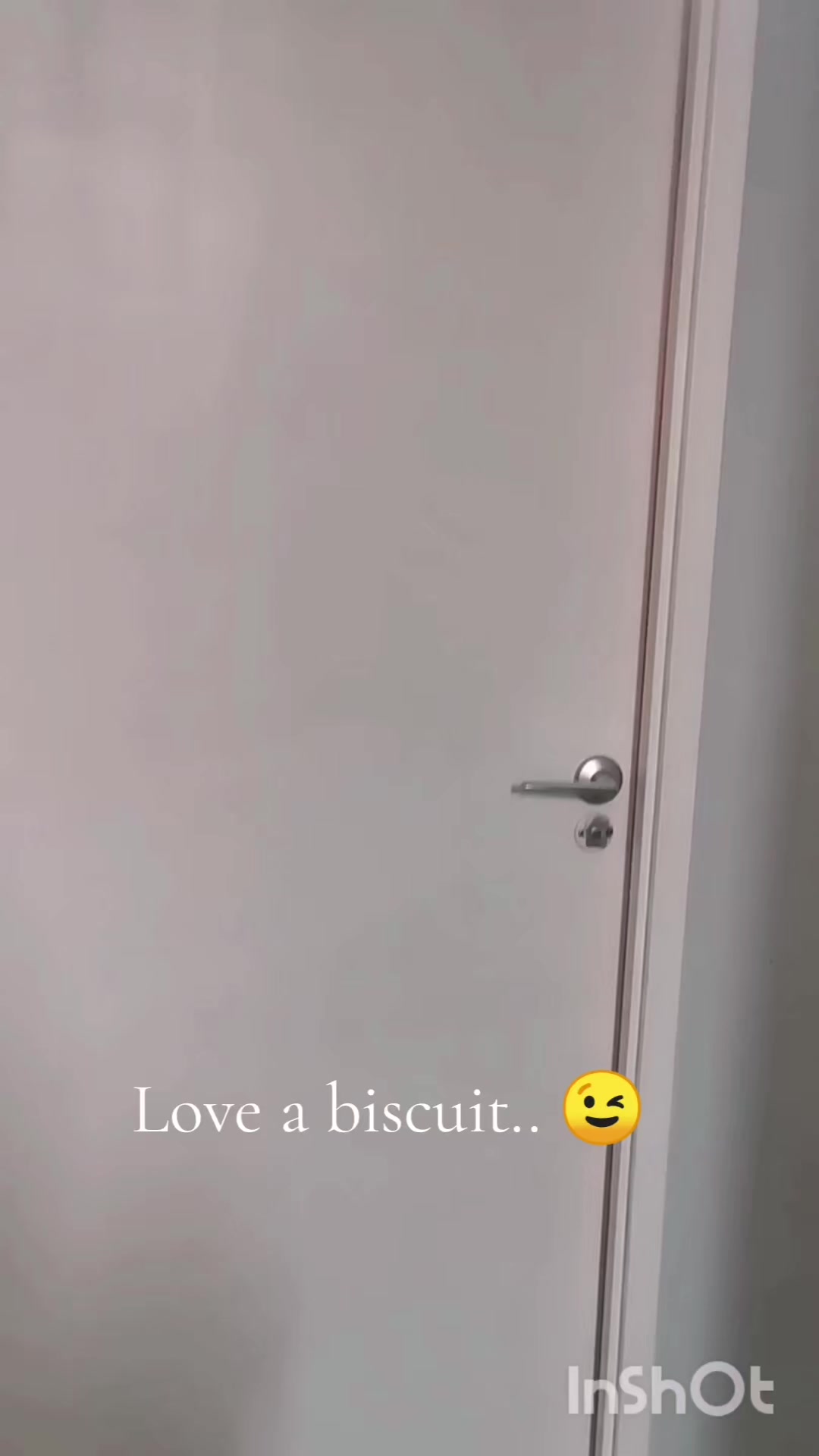 @Tank Biscuits