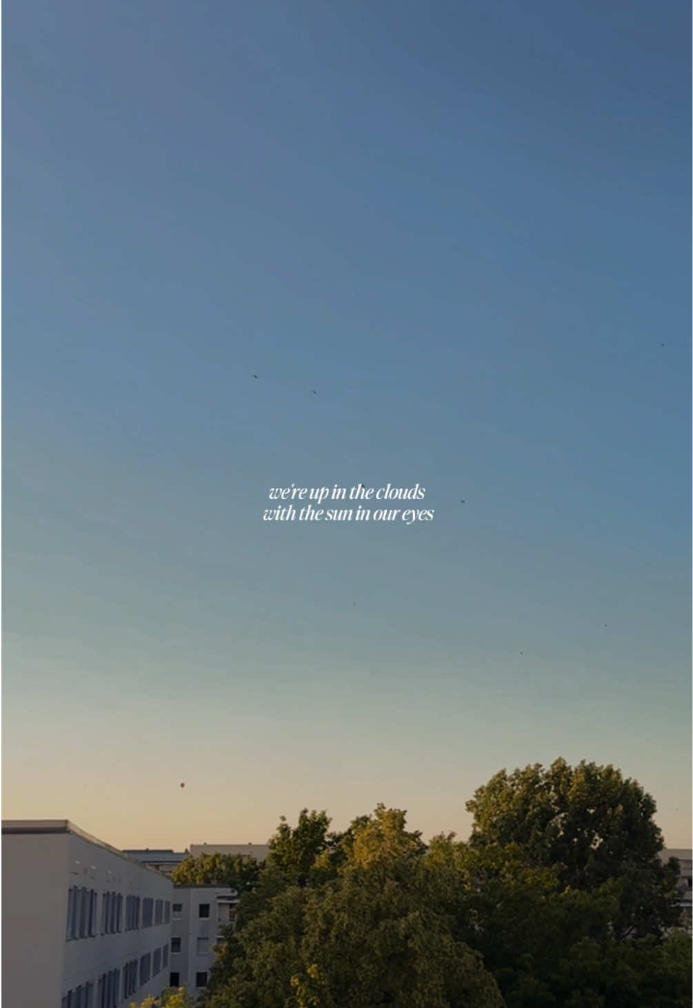 @zebrawolken