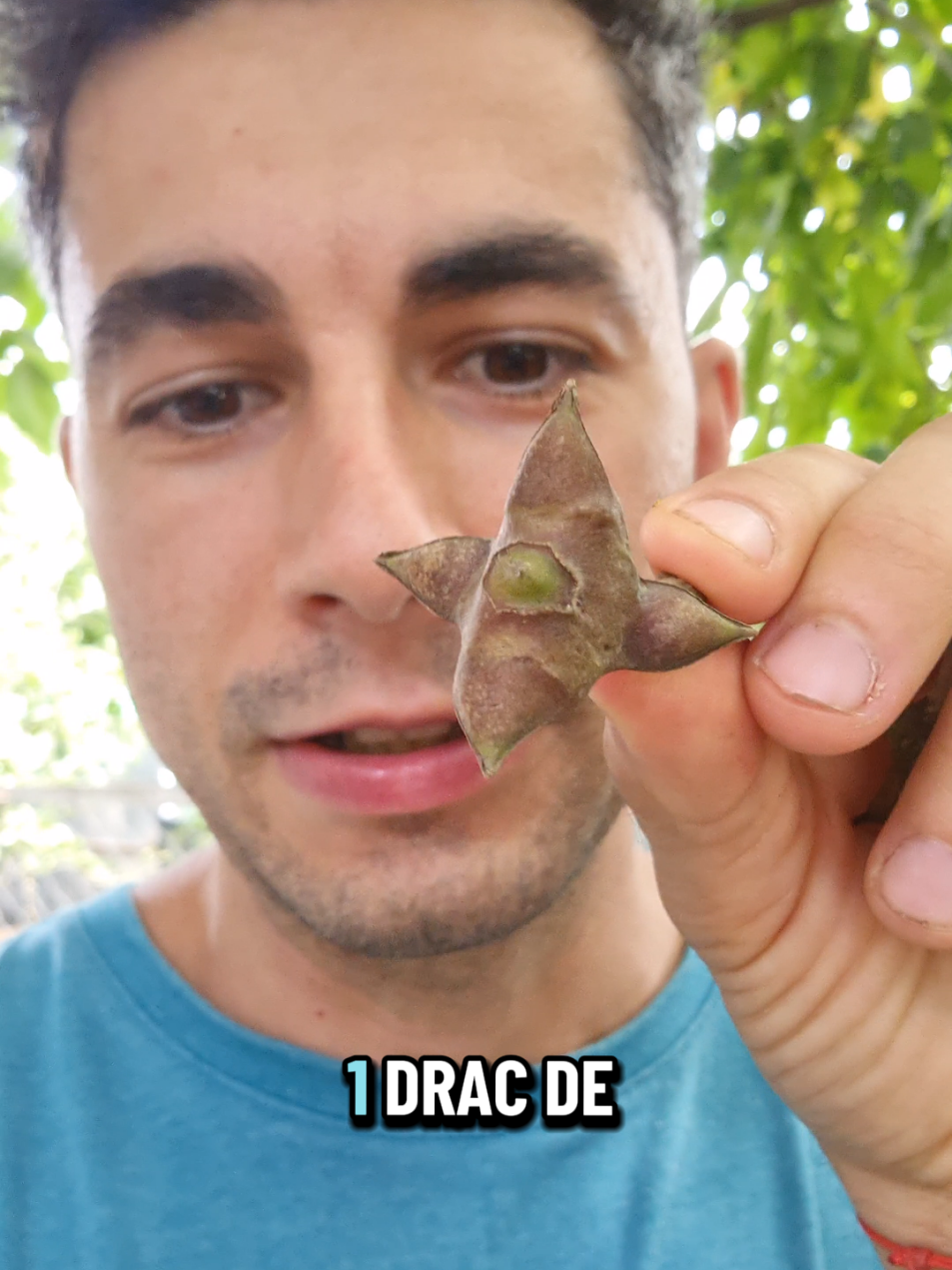 @Bogdan Hriscu