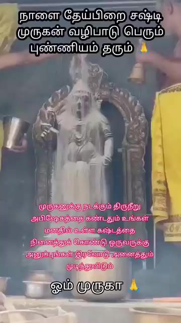 @๐โโโ ั ั N๐๏ธqυััη๐ฑ๐ฟ๐๏ธโโโโ