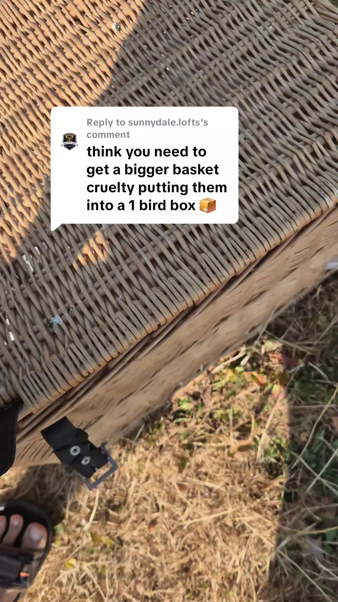 @Bilal