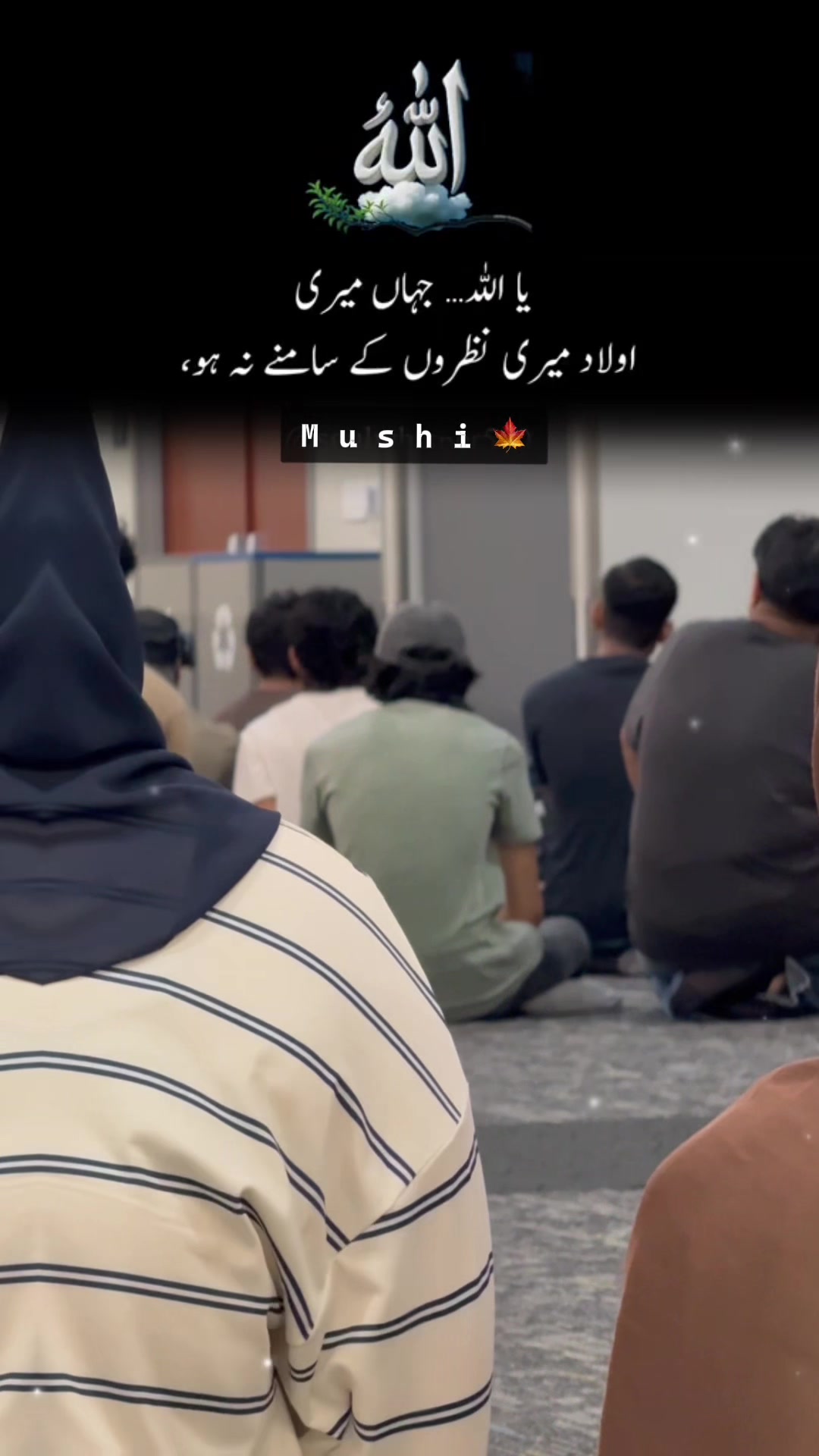 @Ayzal🍁Mushi