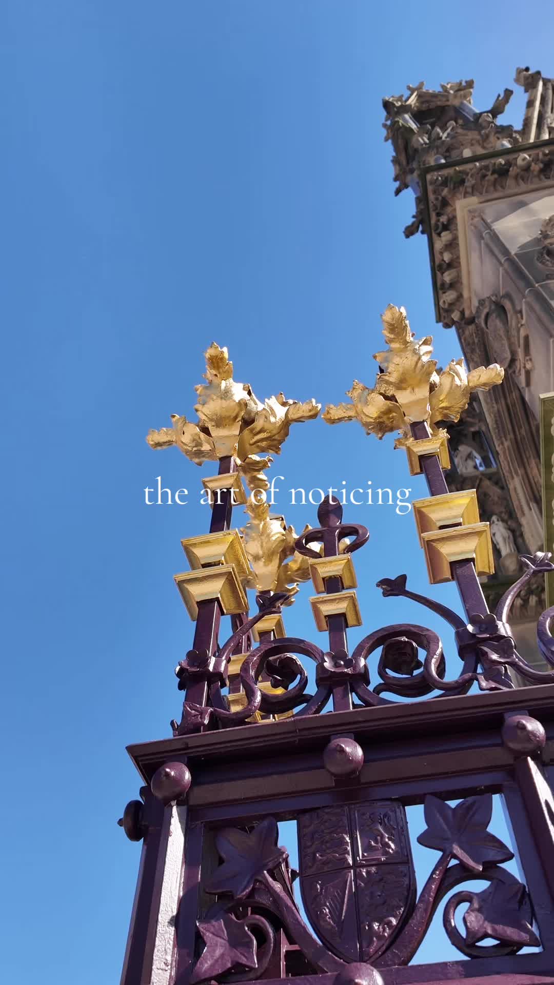 @Manchester City Council