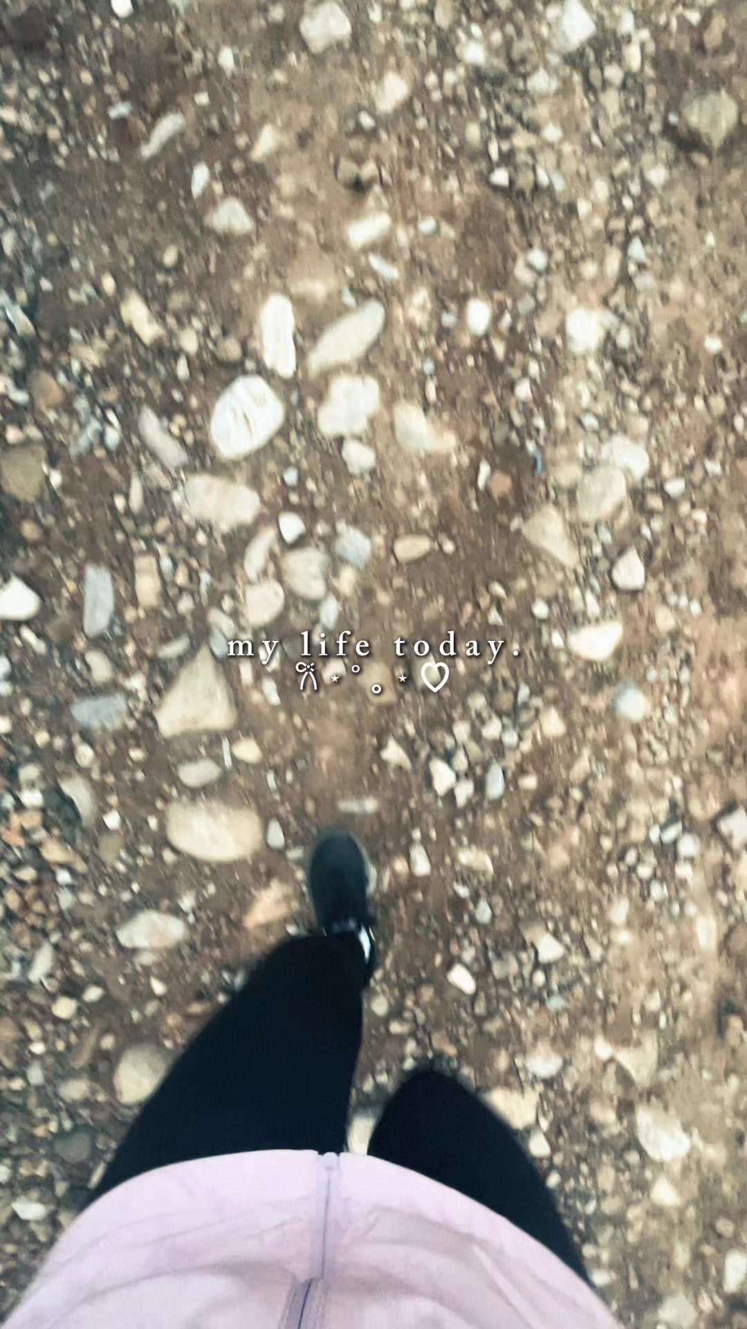 @🦅🦅🦅