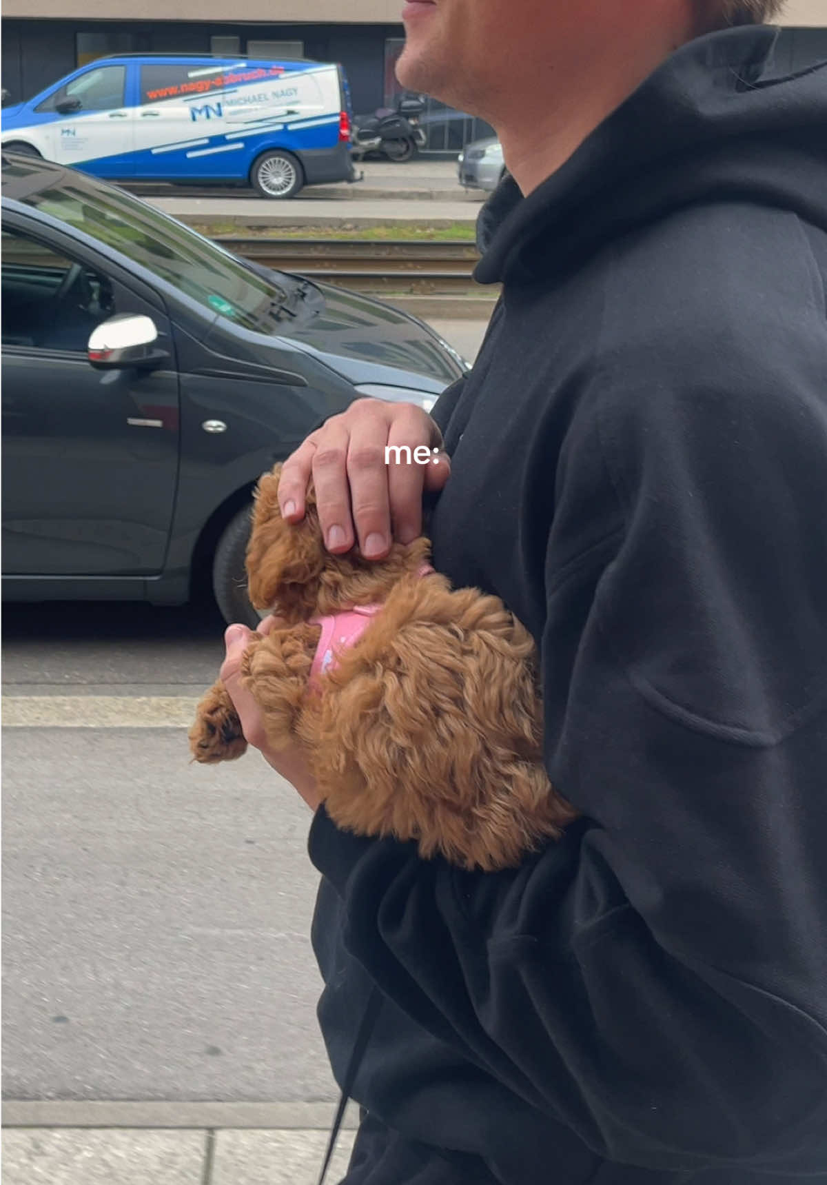 @mickythepoo